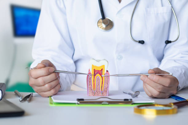 Best Urgent Dental Care for Toothache in West Easton, PA